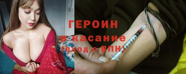 сатива Новозыбков