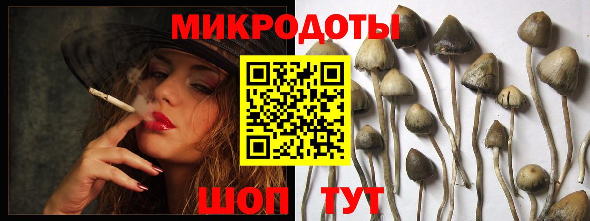 Краснознаменск  наркошоп  Вход с VPN  Галлюциногенные грибы Magic Shrooms 