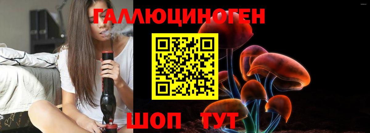 Галлюциногенные грибы мухоморы Краснознаменск